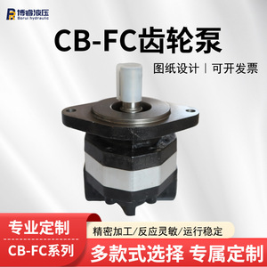 ปั๊มไฮดรอลิกแบบลูกสูบ CB-FC10-16-18-20-25-32-40-50 ปั๊มน้ำมันไฟฟ้าแบบกำหนดเอง สภาพใหม่ - Product Image 5