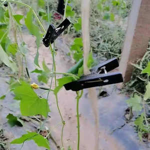 Clips de plantes modernes pour attacher les tomates, les herbes, les fleurs, les courgettes et les vignes en PP et HDPE. - Product Image 4