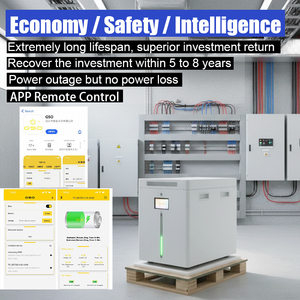 QSO 4nrgy 32kWh 2 Energiespeicher 30kWh All-in-One 60kWh Hektary Offgrid Polen DDP 30KW Energiespeicher 48V LiFePO4 Batterie-Pack - Product Image 5