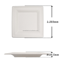 Assiette carrée blanche en bagasse 8x8 (20 cm) sans PFAS, compostable, écologique, jetable, micro-ondable, robuste, pour mariage