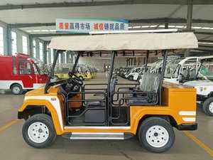 Voiturette de golf tout-terrain 2/4/6/8 places 2025 avec contrôleur – Scooter de chasse à bas prix - Product Image 3