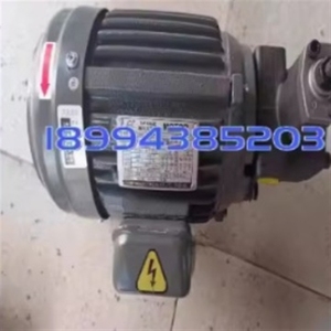 Motor de Bomba de Aceite de Alto Rendimiento JIPIN ELECTRICAL YT-100-4, 2HP, 90J-4, 1 0.75KW - Pieza de Transmisión de Potencia - Product Image 2