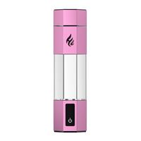 Gobelet SPE H2 300 ml, alimentation USB, concentration élevée 8000+PPB, pour la maison et le bureau, certifié CE, OEM ODM, directement de l'usine