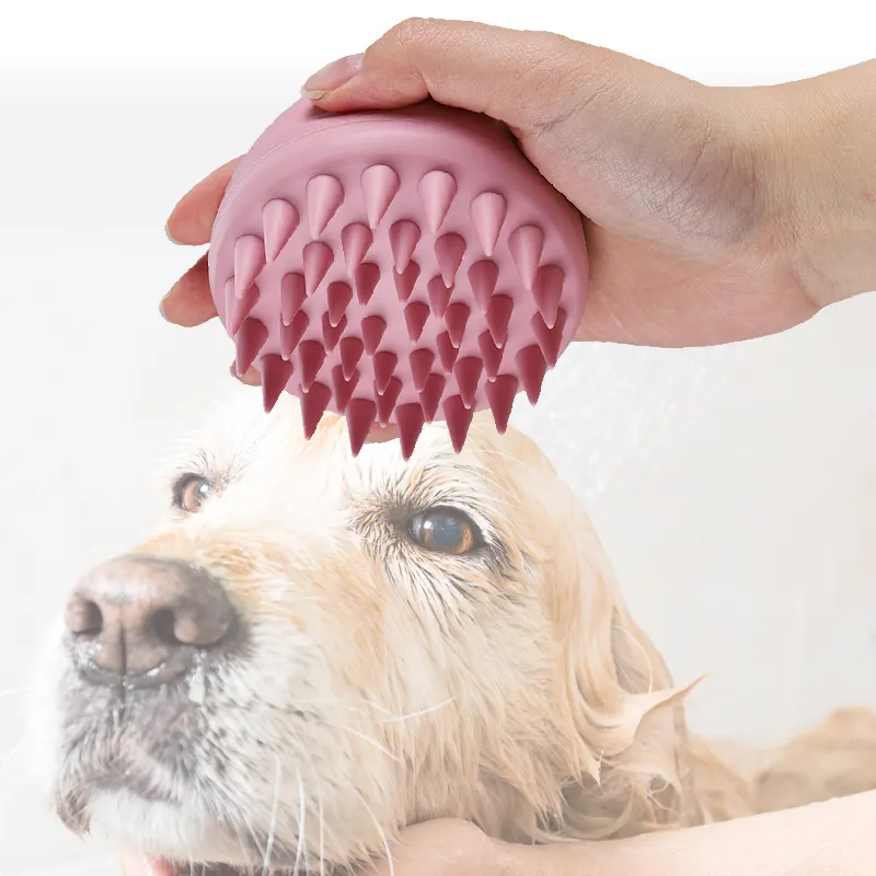 Épilateur en plastique brosses pour chiens peigne de toilettage pour chat peigne pour animaux de compagnie brosse pour chien de chat pour la perte