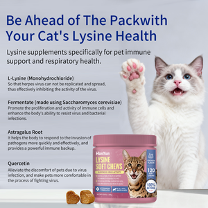 Complément alimentaire OEM/ODM <span class=keywords><strong>pour</strong></span> chats : Friandises molles à la <span class=keywords><strong>lysine</strong></span> <span class=keywords><strong>pour</strong></span> soutenir le système immunitaire et la <span class=keywords><strong>lysine</strong></span> à double force - Product Image 1