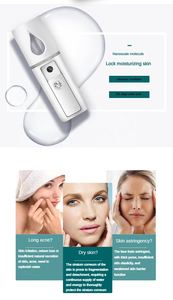 2026 New Arrivals Pocket Mini Usb Portable Skin Care Beauty Nano Ionic Facial <b>Steamer</b> Mist Sprayer for Household - Product Image 4