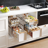 Étagère de rangement coulissante en acier inoxydable pour épices, style tiroir, pour armoire de cuisine, comptoir, évier, accessoires d'organisation
