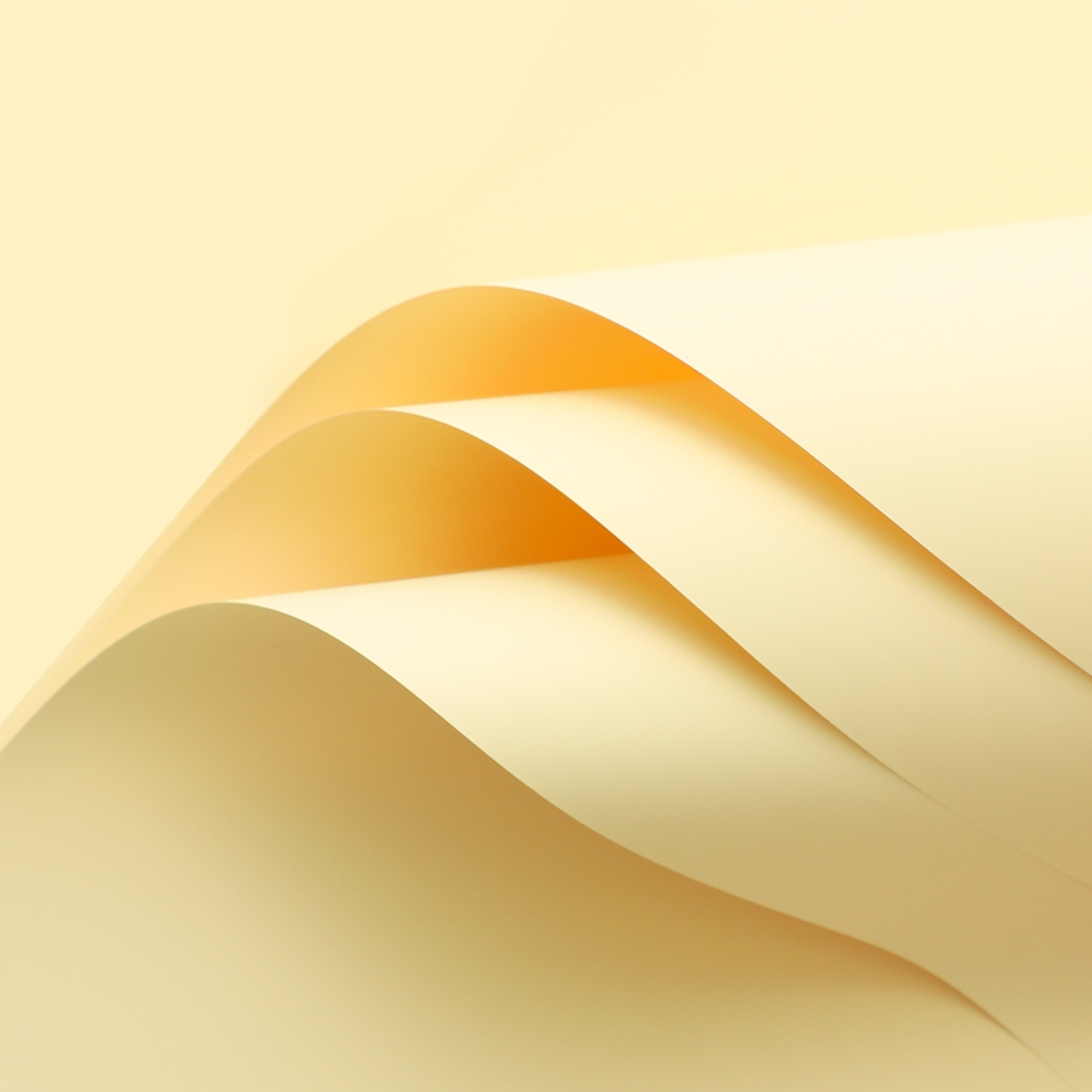 Trendy paper [milk yellow] 20 45*50cm