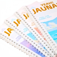 5 onglets de diviseur d'index colorés par sujet Cahier à couverture rigide A5 Oemodm Reliure à deux fils Couverture en matériau Pp