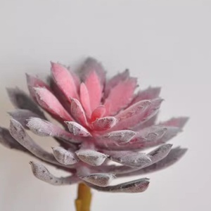 <span class=keywords><strong>Piante</strong></span> succulente <span class=keywords><strong>artificiali</strong></span>, <span class=keywords><strong>piante</strong></span> grasse finte <span class=keywords><strong>realistiche</strong></span> per la decorazione <span class=keywords><strong>da</strong></span> ufficio per la scrivania a casa verde - Product Image 5