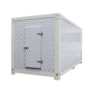 Popular sale Factory price cold room storage walk in cooler with condensing unit