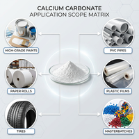 Nano-CaCO3 hydrophobe traité pour additifs de peinture internationaux – Poudre de carbonate de calcium super blanche et légère