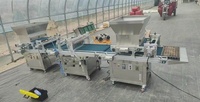Machine automatique de semis pour plateau de semis agricole, puissante semoir de type seringue pour plateaux de culture