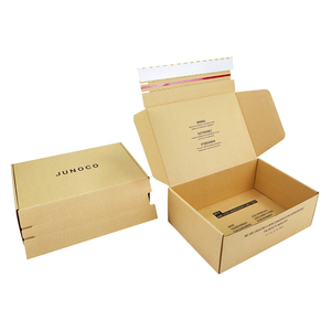 Tùy Chỉnh Hai Mặt In Ấn Sóng Hội Đồng Quản Trị Vận Chuyển Gửi Thư Hộp Bền Dây Kéo Khóa Với Dễ Dàng Xé Dải Thấp Moq - Product Image 2