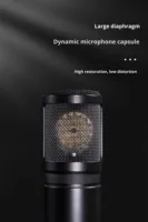 Microphone à condensateur à large diaphragme professionnel ICON LD-1/LD-2, XLR, métal, cardioïde, antibruit, diffusion en direct