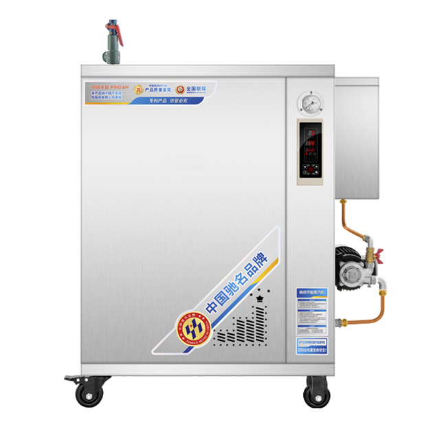 Gas Fired High Temperature Gas Steam Generator for Producing Water Vapor From 110-170C
