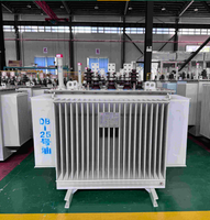 Transformateurs immergés dans l'huile S20 triphasés 50/60 Hz 6,6 kV 10 kV 11 kV vers 400 V 1250 kVA 2000 kVA 2500 kVA