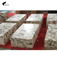 Tostone Calacatta Viola Table de salon rectangulaire Table basse socle pour maison de luxe Villa salon intérieurs décoration