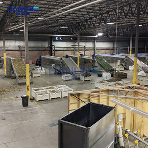 Équipement de séchage des feuilles d'herbes certifié CE, sécheur à déshydratation continue, machine à sécher le basilic - Product Image 2