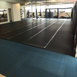 Tapete Enrollable para <span class=keywords><strong>Wushu</strong></span> y Lucha Libre, Tapetes para Cheerleading en Venta - Product Image 2