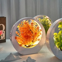 Lámpara LED Luminosa de Bonsái Artificial, Marco Redondo, Planta en Maceta, Luz Nocturna, Decoración de Escritorio, Adorno para Dormitorio, Sala de Estar