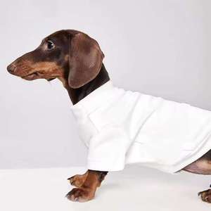Handsome Pet <strong>Dog</strong> Cat <strong>Coats</strong> &amp; Jackets Polyester Summer Solid Color Eco-friendly Comfortable Cyber Celebrity Two-legged Clothes - Product Image 6