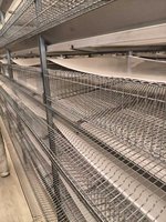 Nouvelle cage à cailles automatique de type H en alliage d'aluminium pour élevage avicole, origine Shandong, garantie 1 an
