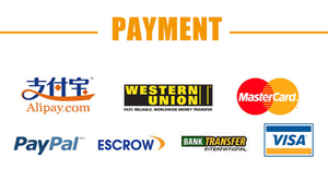 Servicio de Envío Puerta a Puerta DDP de Marca Reconocida, Compras Privadas, España, Italia, Francia, Alemania, Europa, EE. UU., Agente de Envío Aéreo+Exprés - Product Image 2