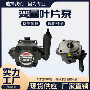 Pompe à palettes variables HVP-30-FA3 14MPA pour système hydraulique, corps en fonte, installation filetée, arbre vertical - Product Image 4