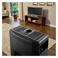 Chauffage d'appoint Kingfer 14KW 47770BTU, vente chaude, à gaz naturel GPL, panneau en verre trempé pour salon, camping, chauffage