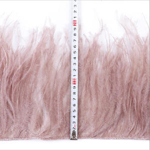 Personnalisation en gros de franges de plumes d'<span class=keywords><strong>autruche</strong></span> de luxe, garniture de 15-18 cm de plumes d'<span class=keywords><strong>autruche</strong></span> sur cordon pour accessoires vestimentaires - Product Image 4