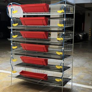 Achetez des cages à cailles en acier <span class=keywords><strong>de</strong></span> qualité supérieure pour un usage domestique - Product Image 2