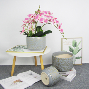 Petits Pots de fleurs en céramique, succulentes, en qualité supérieure, vente en gros, économique - Product Image 5
