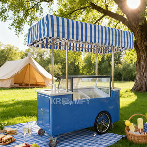 Kiosque de vente de sucettes glacées 2025, remorque alimentaire, tricycles pour la vente de glaces, camion de nourriture - Product Image 5