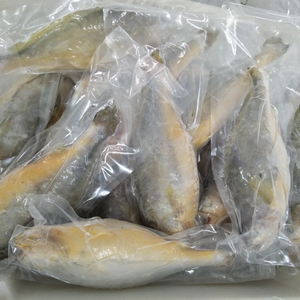 <span class=keywords><strong>Corvina</strong></span>, Pescado Congelado Entero de Alta Calidad, Croaker Amarillo - Product Image 5