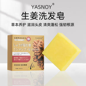 Vente en Gros de Soins des Cheveux Nettoyage en Profondeur Adoucissant Améliorant les Frisottis Gingembre Shampooing Nourrissant pour les Cheveux - Product Image 4