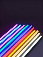 Korallenlila LED-Neonstreifen, 24 V, 8 mm, flexibles Licht für Mädchenzimmer, Nagelstudio, Instagram-Wand, Geburtstagsdekoration