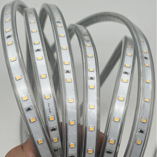 Super Bright 60D AC220V LED Strip Waterproof Silicone High Quality for Decoration Wholesale Factory Supply Energy Saving