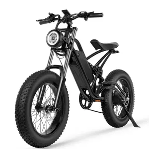 ファットバイク1000w48V電動自転車フルドライブ専門メーカーファットタイヤ環境にやさしい隠しリチウム電動ダートバイク