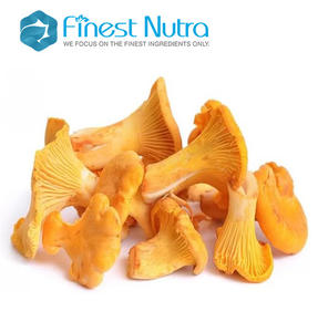 Extracto de Melena de León (Cantarilla) en Polvo, 10% Polisacáridos, Extracto de <span class=keywords><strong>Cantharellus</strong></span> <span class=keywords><strong>Cibarius</strong></span> - Product Image 4