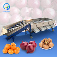OCEAN Fruit Sorteermachine, Blauwe Bes Sorteermachine, Tomaten- en Sinaasappelwas-, Wax- en Sorteermachine te koop