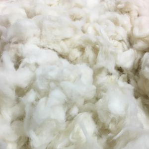 Vietnam Bleached Comber Noil/Cotton Comber Noil/Cotton Waste With High Quality- Ms. Claire - Product Image 1