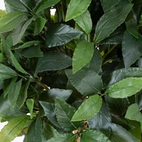 Grüne künstliche Osmanthus Baum Kunststoff Bay Lorbeer und Buchsbaum Topiary Garten dekorative Pflanzen Garten bedarf