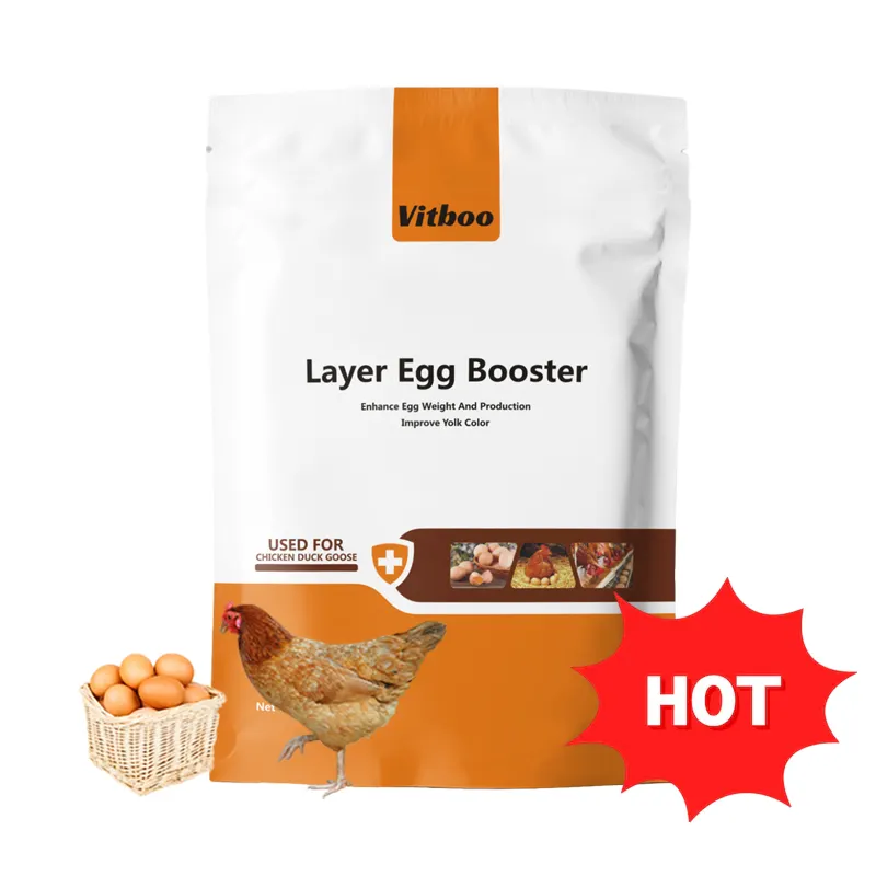 Premium umpan aditif untuk lapisan ayam betina vitamin booster bubuk memperpanjang waktu produksi telur membuat lebih banyak telur