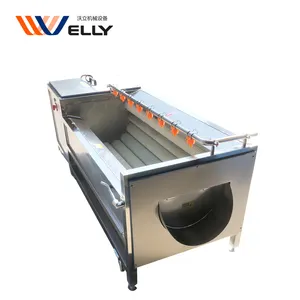 High Export fruit high pressure spray cleaning edible palm washing machine for food factory