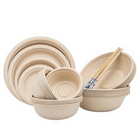 Bols jetables en pulpe de canne à sucre biodégradable de qualité alimentaire, modèle NX-zjw, pour fêtes, barbecues, usage domestique et commercial