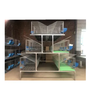 Cages à oiseaux d'usine à vendre pas cher au ghana boîte de transport de poussins batterie de poulet cage de lapin avec le prix compétitif
