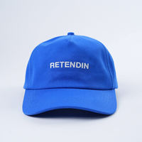 Lage profiel customisatie alle seizoenen unisex borduurlogo nieuwe outdoor katoenen hoge kwaliteit 5-delige gebogen klep pet