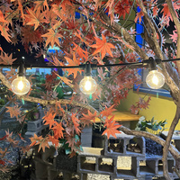 IP65 20 ampoules décoration extérieure vacances fête de noël décorative Led G40 guirlandes lumineuses
