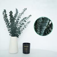 Daun Eucalyptus Alami Terawetkan Desain Koin Tembaga-Bentuk Daun Bulat 100g Bundel untuk Dekorasi Rumah, Dekorasi Kamar Mandi, untuk Pernikahan/Pesta